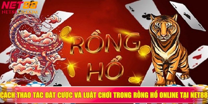 Cách thao tác đặt cược và luật chơi trong Rồng Hổ online tại NET88 