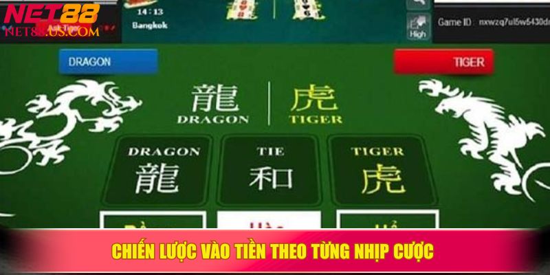 Chiến lược vào tiền theo từng nhịp cược 